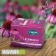 ERCHINACEA TEE
